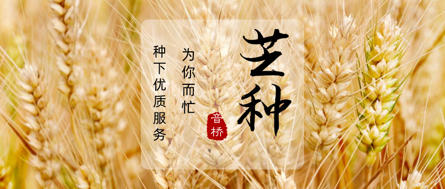 芒種封面.png 芒種封面.png