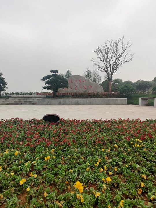 5G云廣播系統(tǒng) 5G云廣播系統(tǒng)